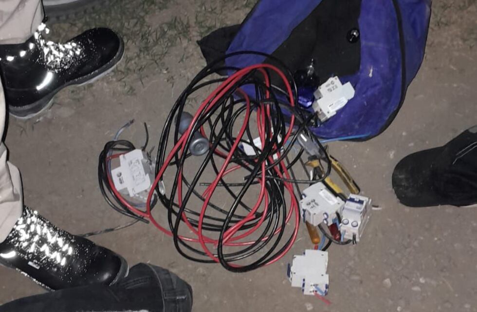 Eficaz labor para atrapar a un ladrón de obras