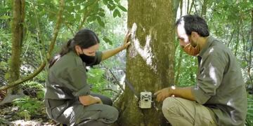 El objetivo es captarlo y confirmar de que  animal se trata para evaluar las medidas a seguir.