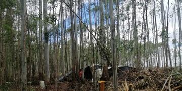 Las personas fueron divisadas por los Bomberos en un incendio.