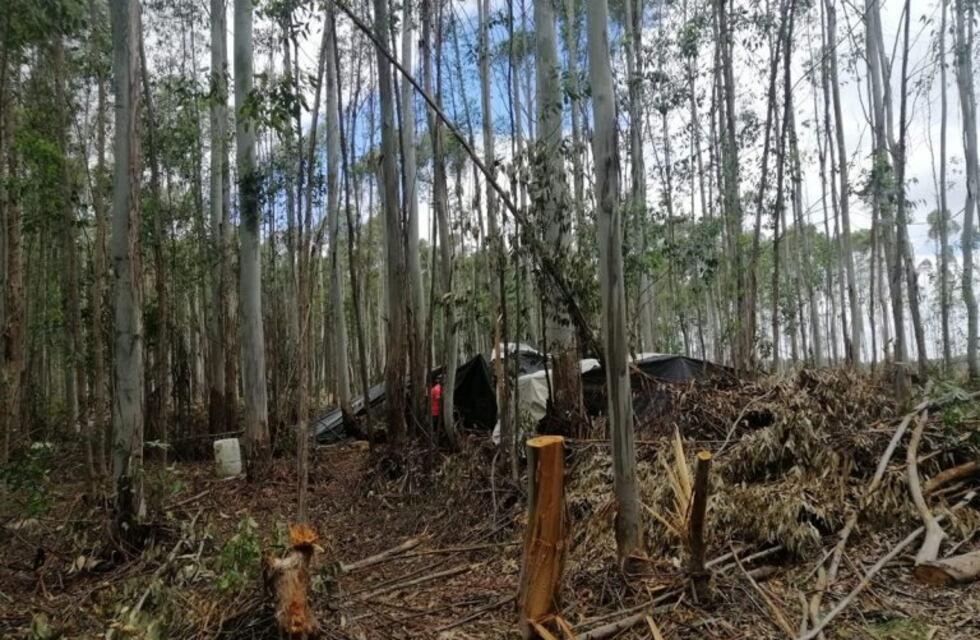 Finca en Concordia: rescataron a trabajadores y a un niño que eran explotados