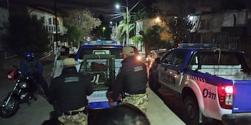 Pitbull secuestrado por atacar a un niño