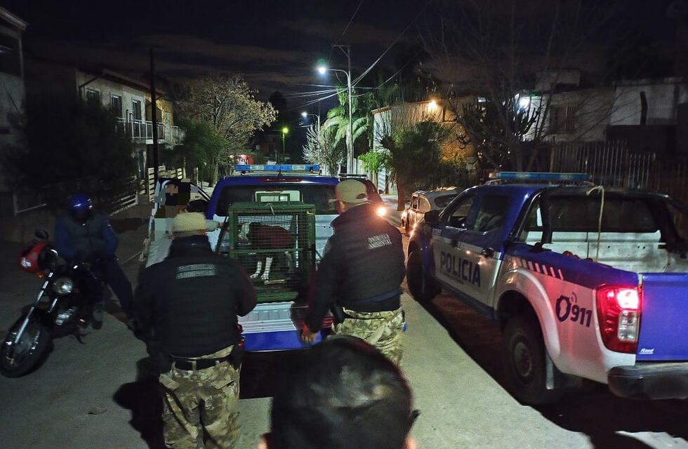 Villa Carlos Paz: un niño de 7 años fue gravemente atacado po un perro Pitbull