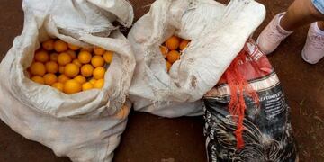 Las naranjas fueron recuperadas de un intento de robo en Mado, donde detuvieron a un joven de 17 años.