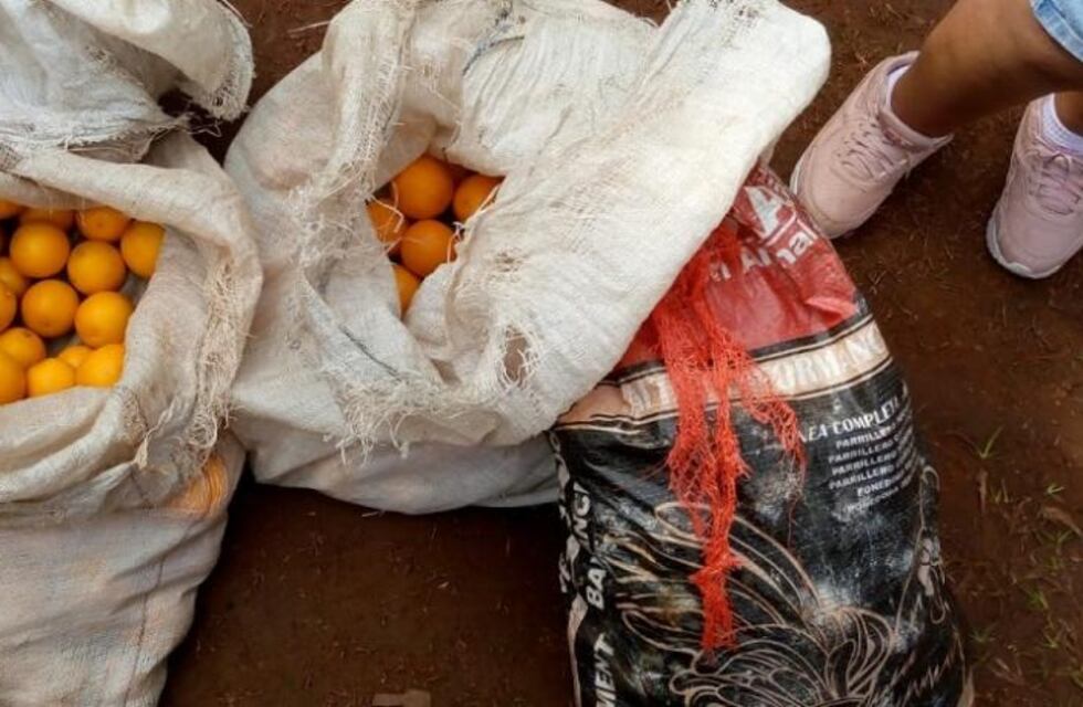 Donaron naranjas a un comedor de Eldorado recuperadas en un operativo en Mado