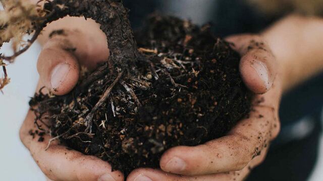 compost