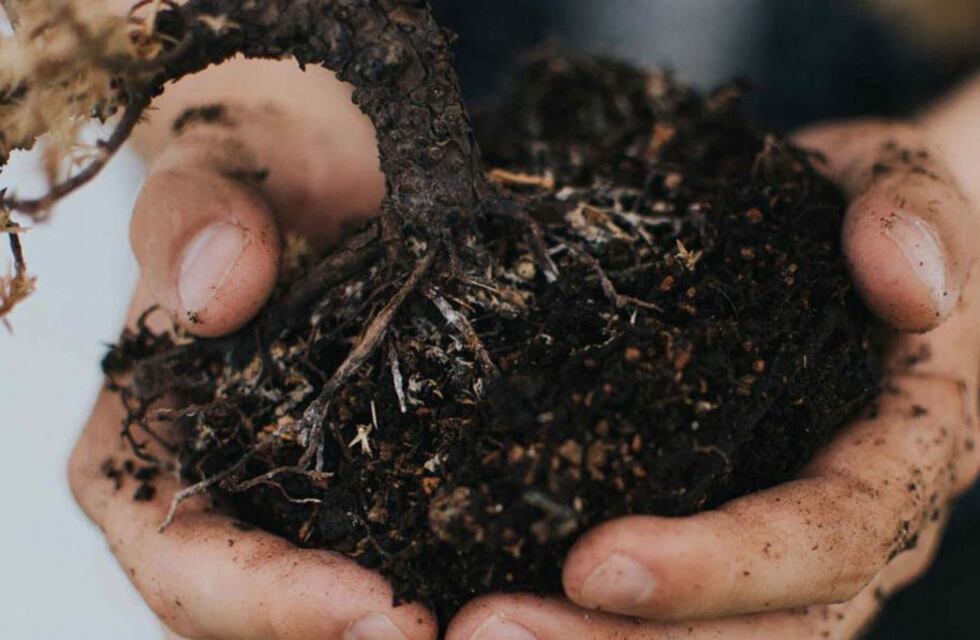 El compost y su interacción con la producción de los cultivos