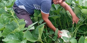 Las comunidades pudieron empezar con la cosecha.
