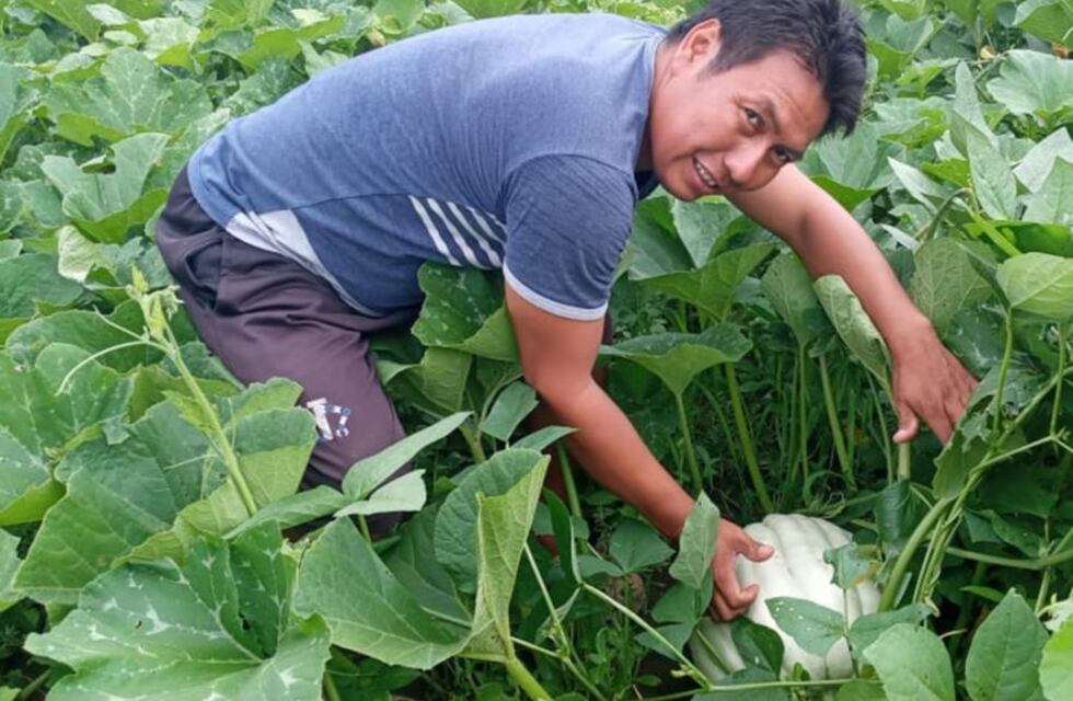 Las huertas comunitarias de comunidades whichis salteñas dieron su primera cosecha