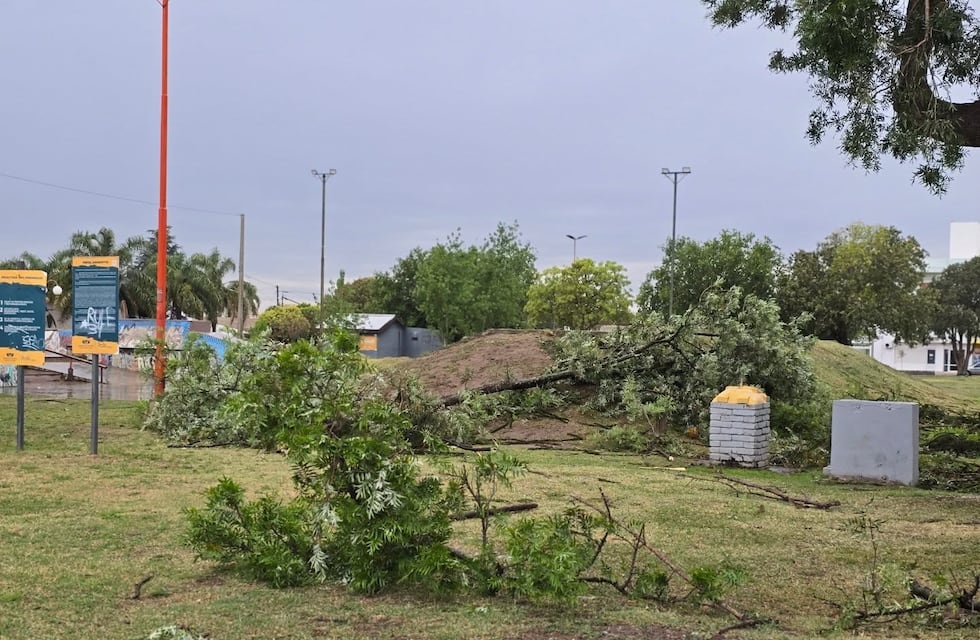 Fuerte temporal de viento y granizo afectó viviendas y diferentes servicios en Arroyito
