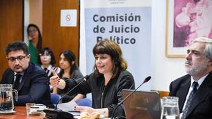 La diputada Carolina Gaillard, en una nueva reunión de la Comisión de Juicio Político (Foto: HCDN)