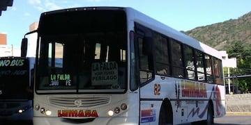 Colectivo Lumasa.