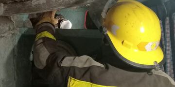 El ofidio medía dos metros de largo y pesaba cinco kilos.