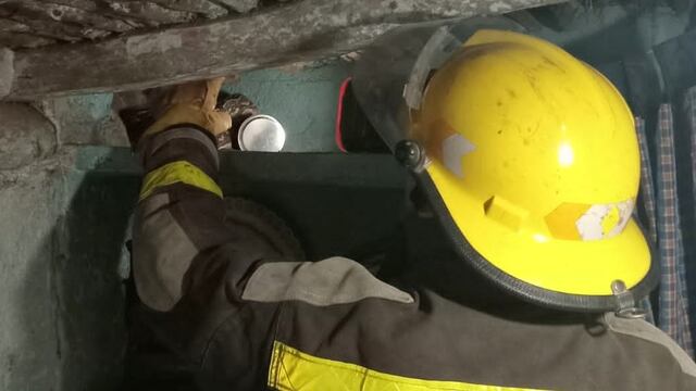 El ofidio medía dos metros de largo y pesaba cinco kilos.