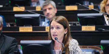 Tiene media sanción el proyecto de la diputada puntaltense Abigail Gómez sobre detección temprana y de lucha contra la leucinosis