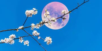 Cuándo sucederá la magia de la Luna Rosa y qué rituales hacer para atraer el amor