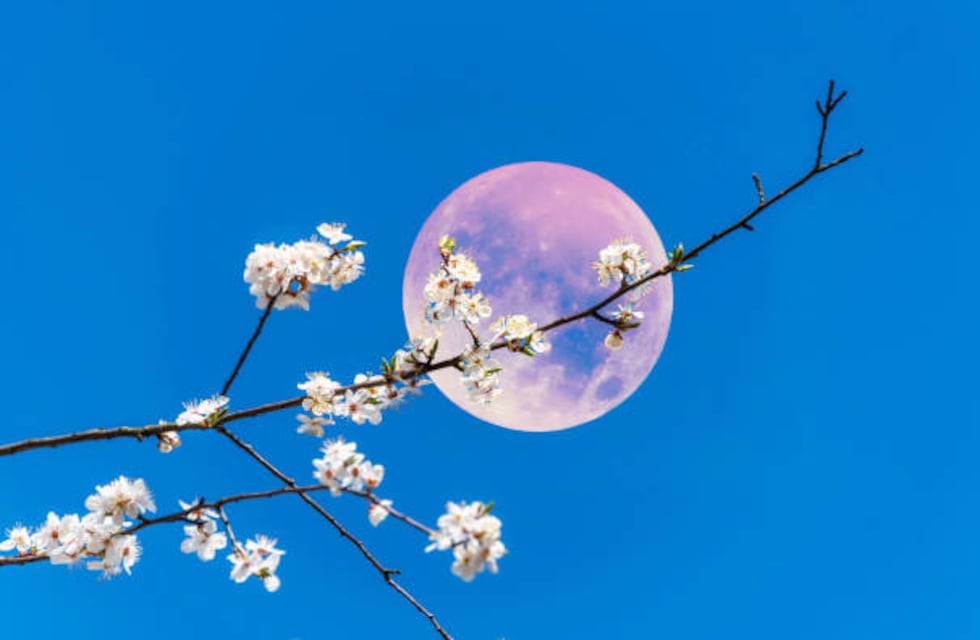 Cuándo será la Luna Rosa de abril y qué rituales hacer para atraer el amor