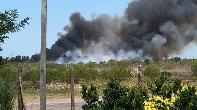 Las imágenes de las columnas de humo se repitieron en redes sociales durante la mañana. (@lutipereyra)