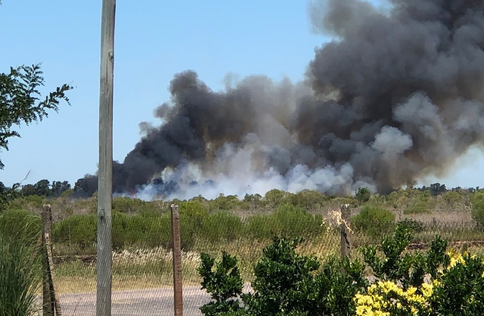 Se registraron nuevos incendios en las islas y cerca del Aeropuerto de Rosario