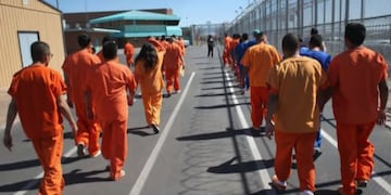 Los internos estarán identificados según el nivel de peligrosidad