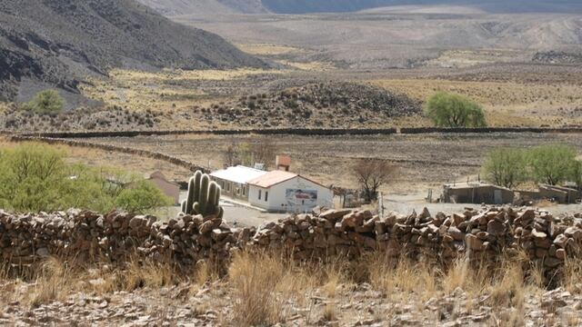 Los maestros se ocupan de la limpieza, el mantenimiento, la cocina, la huerta y el invernadero pero por protocolo de coronavirus necesitan personal que se encargue de estas tareas.