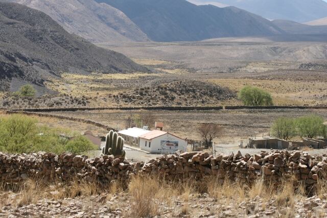 Los maestros se ocupan de la limpieza, el mantenimiento, la cocina, la huerta y el invernadero pero por protocolo de coronavirus necesitan personal que se encargue de estas tareas.