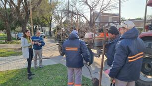 Plantarán 2.000 árboles en Rafaela