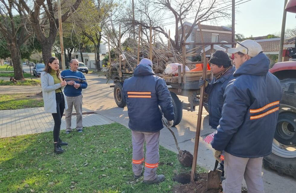 Rafaela suma 2.000 árboles en sus calles