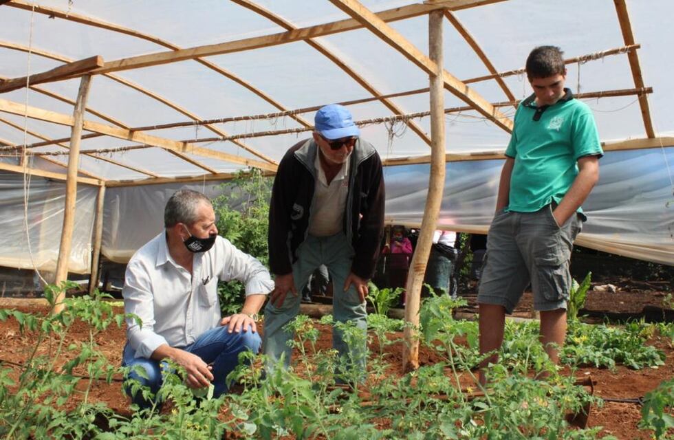 Buscan fortalecer las cuencas cebolleras en la Zona Centro de la provincia