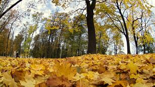 Argentina. El otoño comenzó el 20 de marzo (AP/Archivo).