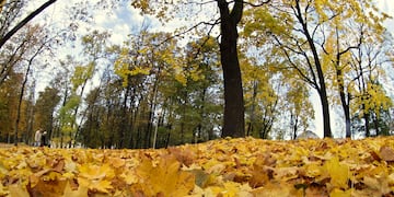 Argentina. El otoño comenzó el 20 de marzo (AP/Archivo).
