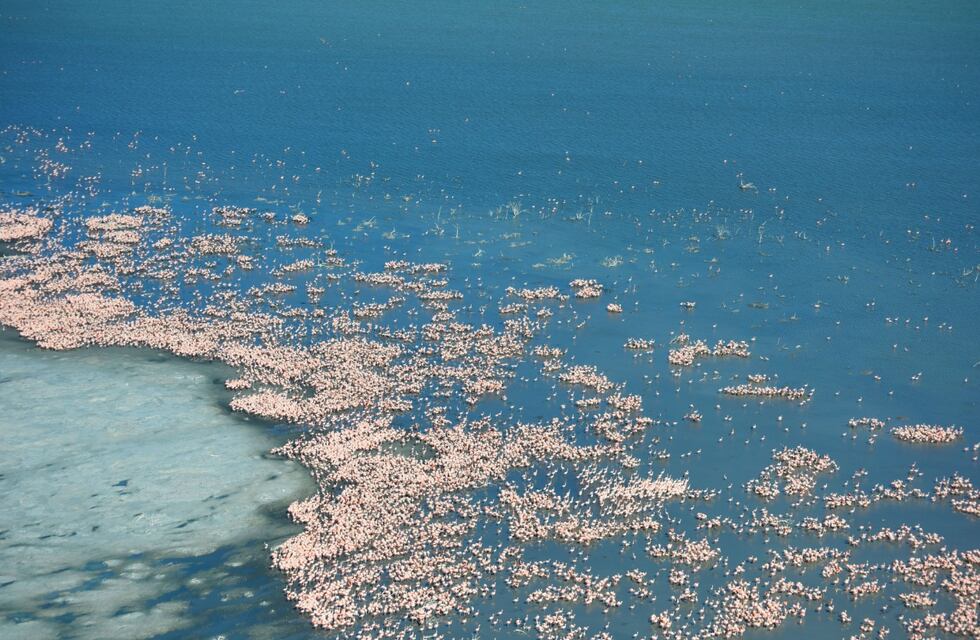 Alerta por tormentas fuertes para el noreste cordobés
