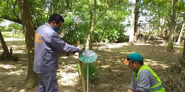 Reabrió el Bosquecito Besaccia