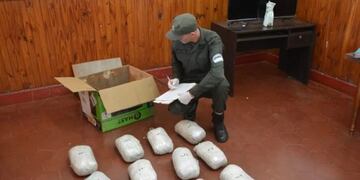 Gendarmería frustra envío millonario de droga en la terminal de Puerto Esperanza.