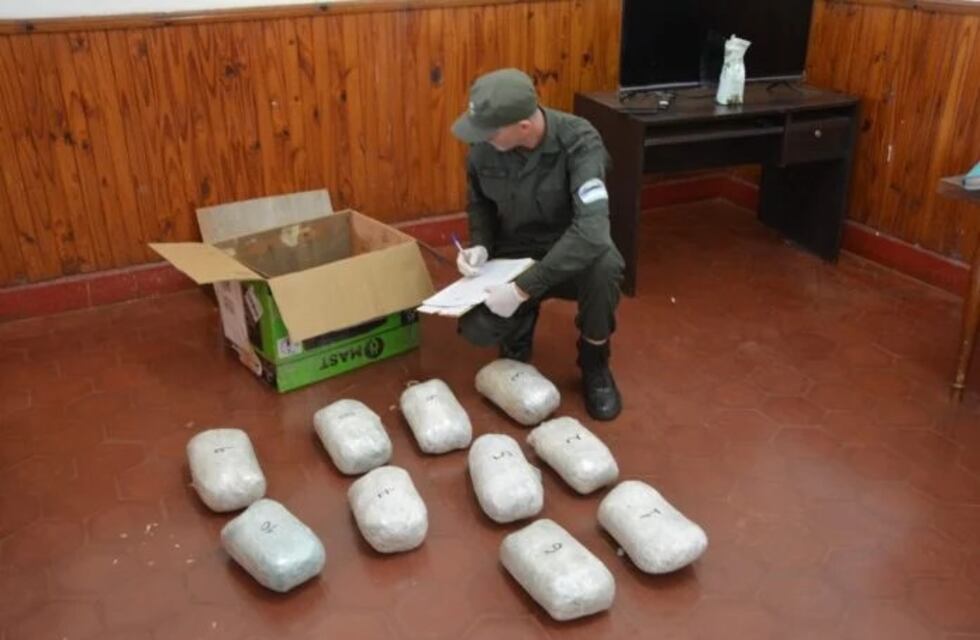 Gendarmería frustra envío millonario de droga en la terminal de Puerto Esperanza