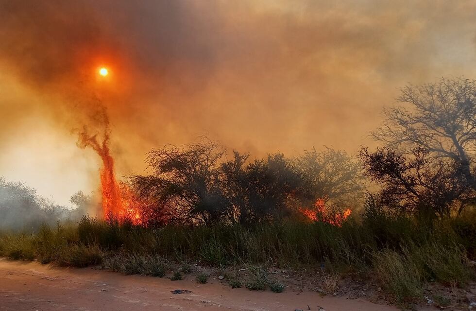 Incendios en La Pampa: el fuego fue controlado por Defensa Civil, bomberos y brigadistas
