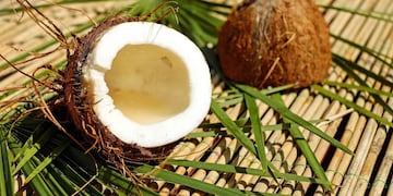 Las mejores recetas con coco