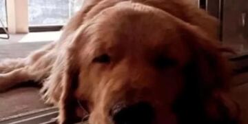 La primera víctima apareció en un terreno cerca de la casa del acusado. Foto: Clarín.