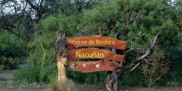 El astroturismo es una de las atracciones con la que cuenta la Reserva de Biósfera de Ñacuñán en Santa Rosa.