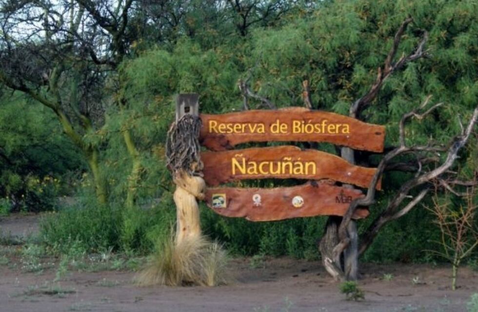 La increíble riqueza de la Reserva de Ñacuñán