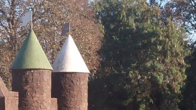 Operativos contra el dengue en Puerto Iguazú.