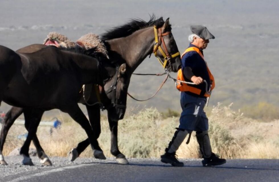 Desde Neuquén, un jubilado emprendió su regreso a Entre Ríos a caballo