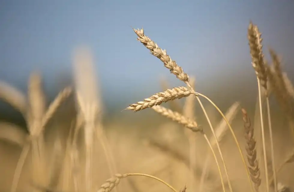 Aumento de la tarifa de cargas