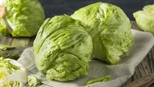 Cuando podría bajar el precio de la lechuga en Córdoba.