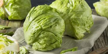 Cuando podría bajar el precio de la lechuga en Córdoba.