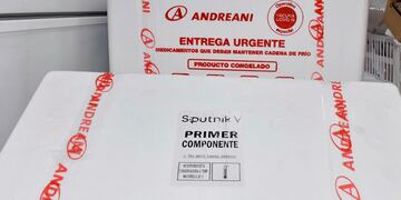 Llegaron 4.200 dosis de la Sputnik V (APN)