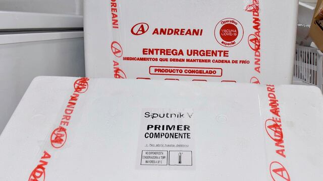 Llegaron 4.200 dosis de la Sputnik V (APN)