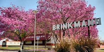 Brinkmann, donde fue asesinada Aralí Rivas.