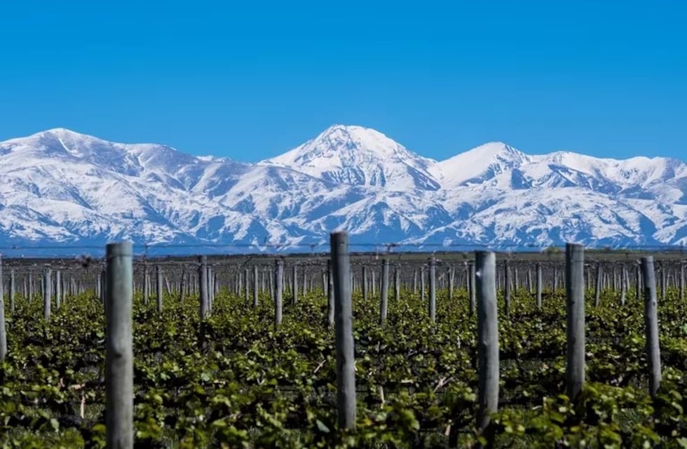 Magistrados y Funcionarios misioneros celebran los 30 años de AMJA