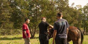 En una jornada, en los barrios La Herradura, San Jorge y Malvinas Argentinas