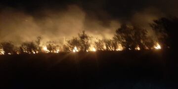 Se mantienen los focos de incendios forestales en la provincia de Misiones.